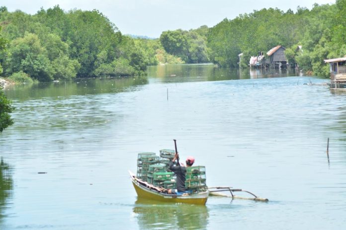 Crab fisherman | Batiano River in Arevalo, Iloilo City | Panay News