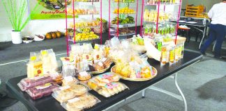 Various products of agrarian reform beneficiaries in Negros Occidental are sold in the Agrarian Agripreneurial Expo 2019 at a mall in Bacolod City until June 30. The activity is part of the observance of the 31st year of the Comprehensive Agrarian Reform Program. DAR NEGROS OCCIDENTAL