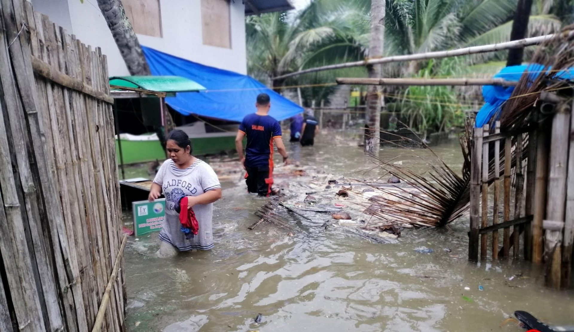 Western Visayas most disaster resilient region in PH: Harvard study