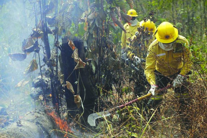 Firefighters work to put out fires in the Vila Nova Samuel region, along the road to the National Forest of Jacunda, near to the city of Porto Velho, Rondonia state, part of Brazil's Amazon, Sunday, Aug. 25, 2019. AP