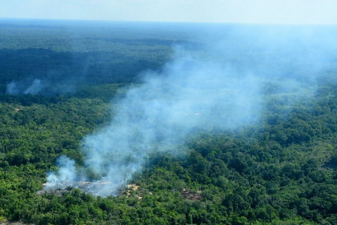 French President Emmanuel Macron says the record number of fires in the Amazon rainforest is an “international crisis” that needs to top the agenda at this weekend’s G7 summit. SLATE.COM