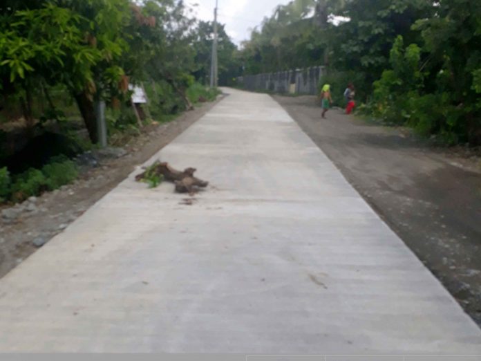 Road concreting in Brgy. Bungca-Suhoton, Barotac Nuevo, Iloilo leading to Mt. Salihid, where a sacred shrine is found inside a cave. Said shrine is one of the visited destinations in the province especially during Holy Week. Photo courtesy of DPWH, Iloilo 2nd DEO.