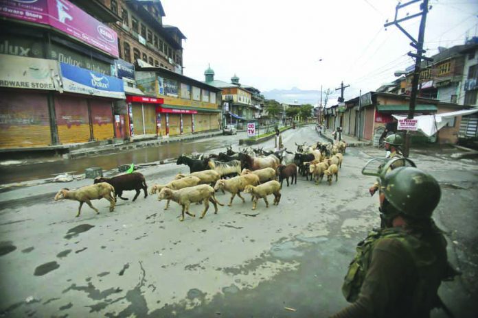 Indian paramilitary soldiers guard as a Kashmiri livestock seller crosses a street ahead of Eid al Adha during a security lock down in Srinagar, Indian controlled Kashmiri, Saturday, Aug. 10, 2019. AP