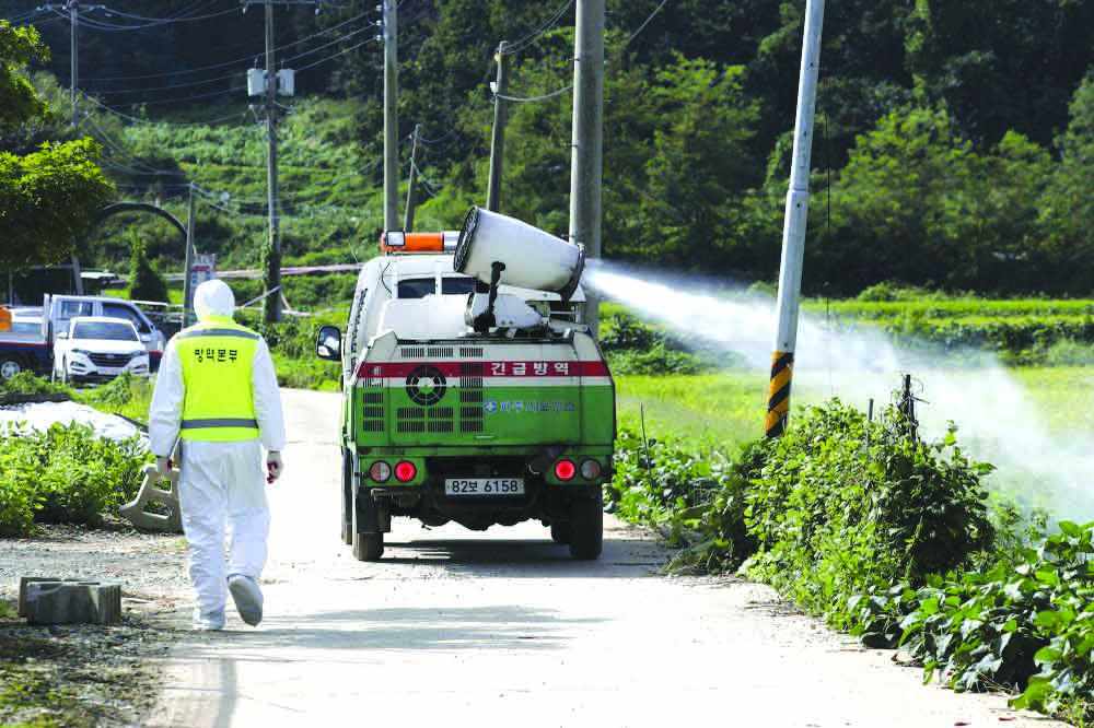 South Korea culls pigs after detecting swine flu outbreak