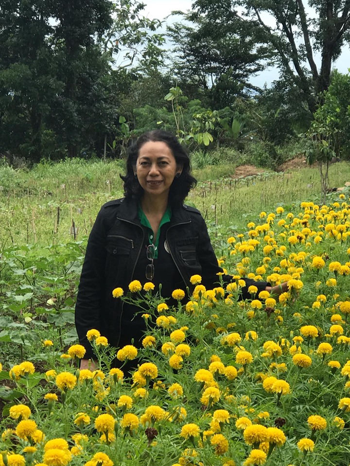 Among the marigolds, natural pest repellant, in Nisol’s Organic Farm