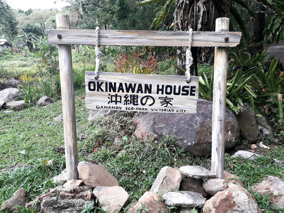 Okinawa and Victorias are kindred spirits.