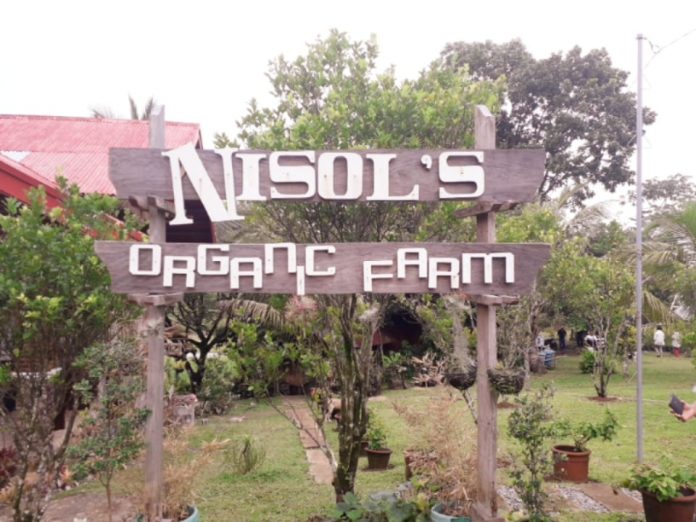 Nisol’s is a small farm but has big ideas in it