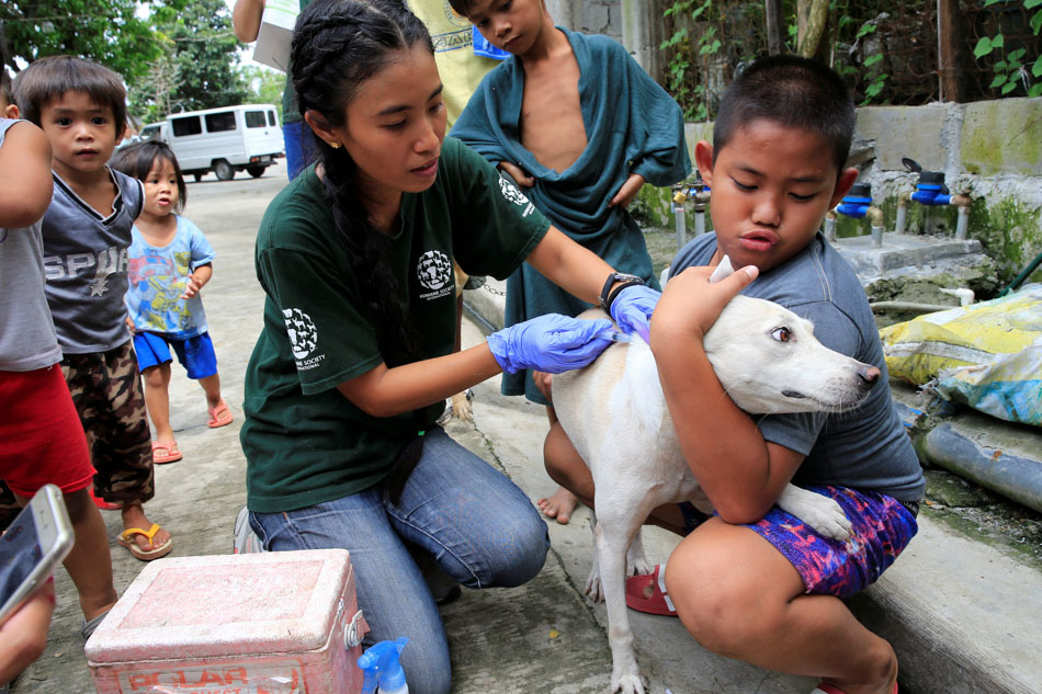 Antique faces shortage of anti-rabies vaccine