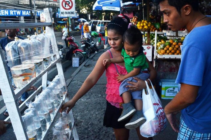 Passersby checkout tropical fishes being sold on the sidewalk of Ledesma Street, Iloilo City. Nearby is a sidewalk fruit stand. These and other sidewalk vendors would be removed, according to Mayor Jerry Treñas. IAN PAUL CORDERO/PN