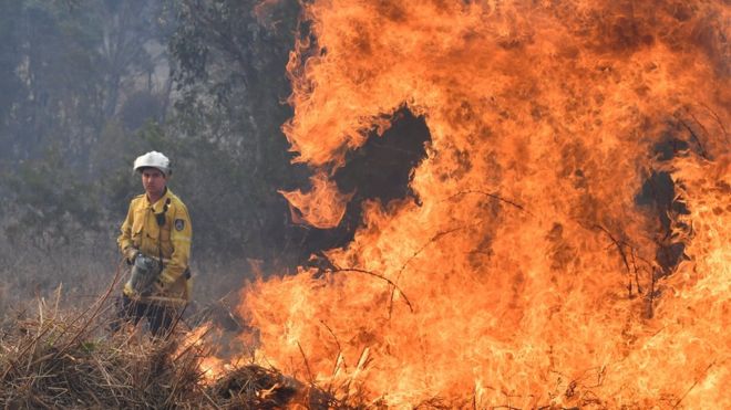 Firefighters have been battling bushfires in Australia for over a month. Recently, at least 30 houses were destroyed or seriously damaged in a bushfire in New South Wales. EPA