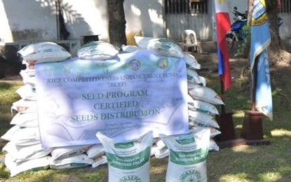 These bags of free certified rice seeds were distributed by the Philippine Rice Research Institute to the farmers of Negros Occidental on Nov. 19 as part of the implementation of the Rice Competitiveness Enhancement Fund. PIO NEGROS OCCIDENTAL