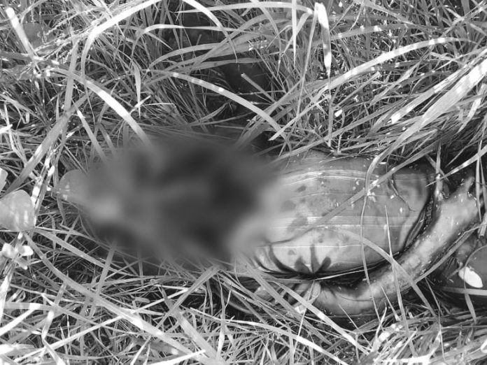 Residents discover the decomposing body Arjay Espinase in a grassy area along the road in Barangay Taculing, Bacolod City on Nov. 27. BCPO/POLICE STATION 6