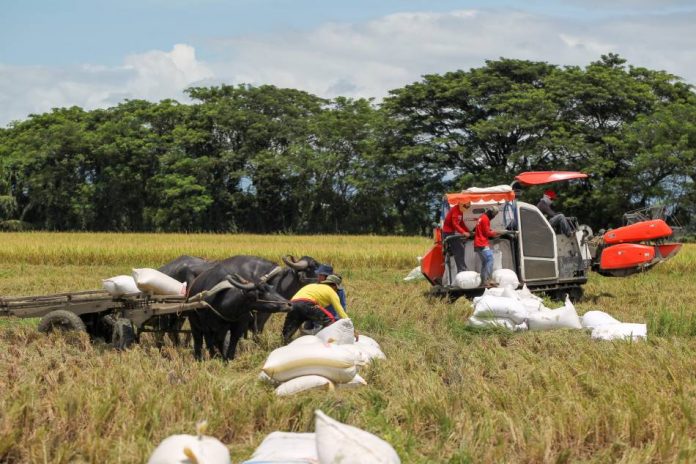 The Philippine agricultural sector posts growth at an annual pace of 2.87 percent in the third quarter, recovering from 1.3 percent contraction in the June quarter. ABS-CBN News