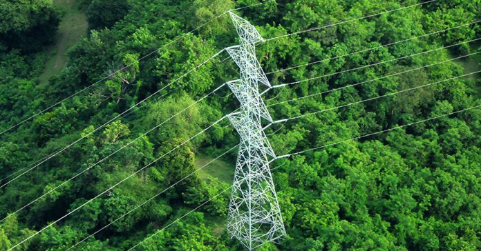 An Electric Tower standing over canopy.