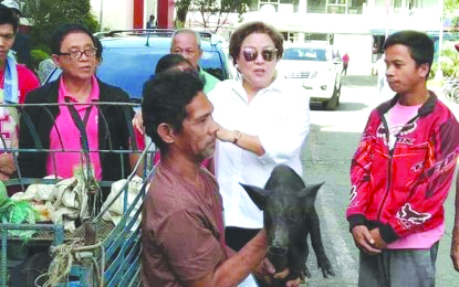 A sugar migrant holds the native piglet he received as livelihood assistance from the provincial government of Antique. ANTIQUE PIO