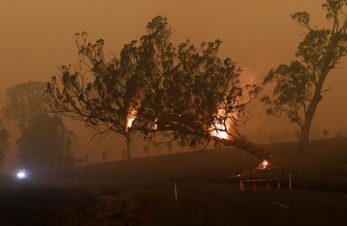 A burning gum tree is felled to stop it from falling on a car in Corbago, as bushfires continue in New South Wales, Australia on Jan. 5. REUTERS/TRACEY NEARMY