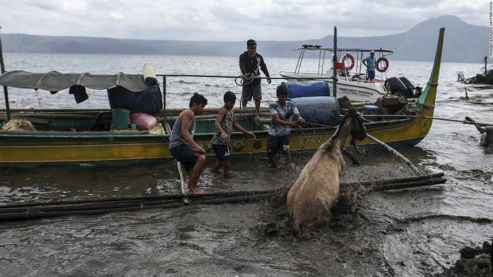 Volunteers save animals that have been left behind as the Taal volcano continues to release ash and smoke in Batangas province, Philippines, 14 January 2020 (issued 15 January 2020). The Philippine Institute of Volcanology and Seismology (PHIVOLCS) has kept the alert level at four, following Taal Volcano's eruption on 12 January 2020. Taal Volcano eruption aftermath, Batangas Province, Philippines - 14 Jan 2020. EPA