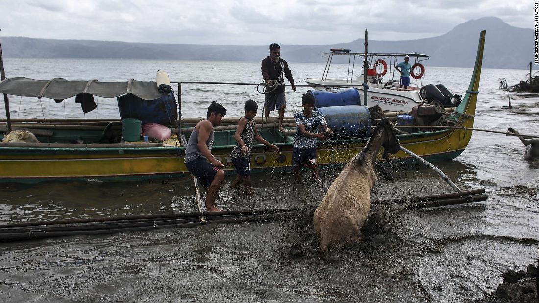 ‘Animal rescue’ program during disaster mulled