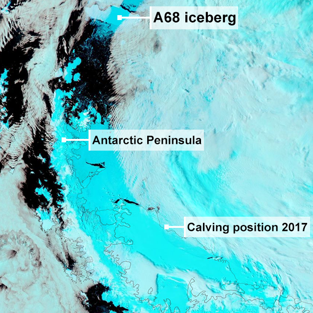 A68 barely moved after calving, but this year has suddenly raced northwards. A. LUCKMAN/NASA/AQUA/MODIS