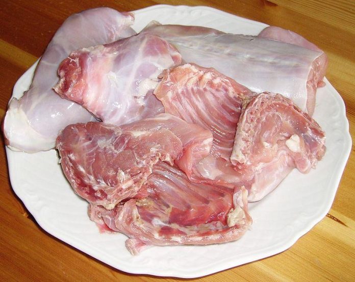 Department of Agriculture looks at rabbit meat as pork alternative. TRIPLE PUNDIT