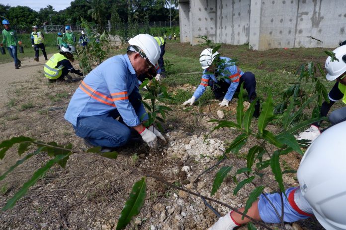 ENVIRONMENTAL STEWARDSHIP. Therma Visayas, Inc. (TVI) Deputy Plant Manager Noel Cabahug (middle-left) leads team members in planting 700 Indian tree seedlings inside the plant complex last February 29, 2020, continuing the efforts for TVI’s Carbon Sink Management Program (CSMP), which aims to plant one million trees to sequester the plant’s carbon emissions.