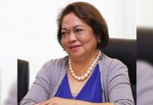 Energy Regulatory Commission Chairperson Agnes Devanadera