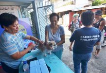 LOOK: Personnel of the City Veterinary Office Humane Society administers the anti-rabies vaccine on dogs as part of their mass vaccination drive in Barangay San Nicolas, La Paz, Iloilo City on Friday, Feb. 28. IAN PAUL CORDERO/PN