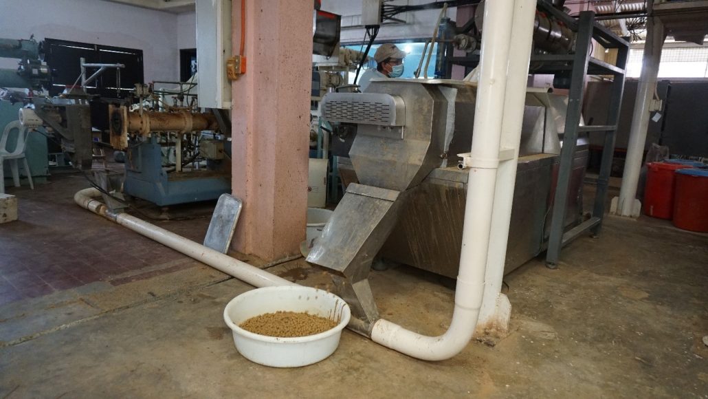 The new extruder at SEAFDEC/AQD’s feed mill used to produce aquaculture feeds. Photo by RH Ledesma