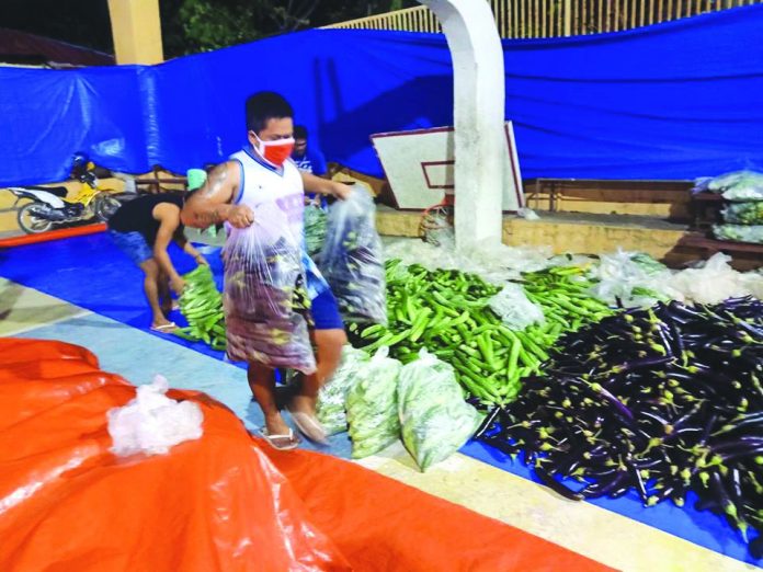 Food packs given to residents of Barangay Semirara, Caluya, Antique include variety of vegetables. Caluya is currently on a lockdown to curb the spread of coronavirus disease 2019. BLGU SEMIRARA