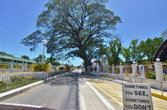 WHERE HAVE ALL THE PEOPLE GONE? This main thoroughfare of Guimbal, Iloilo is empty. People are opting to stay at home to avoid catching and spreading the coronavirus disease 2019. To date, three residents of Guimbal have tested positive for the illness. IAN PAUL CORDERO/PN