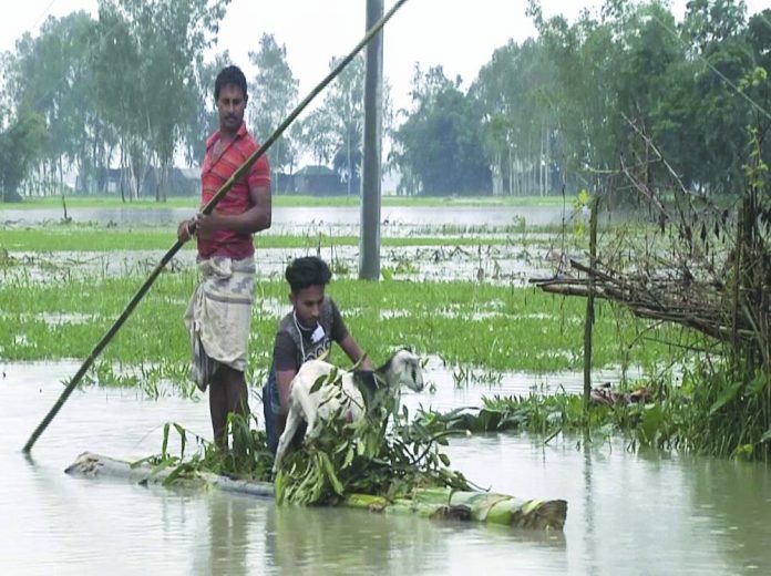 In this video grab taken from the Associated Press Television footage, Bangladeshi men with a goat row a banana raft through flood waters in Lalmonirhat, Bangladesh, Monday, July 13, 2020. AP