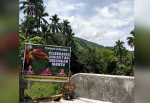 A picturesque view of mountains and coconut trees at the background during the celebration of Dulungan Month at Brgy. Flores, Culasi, Antique.