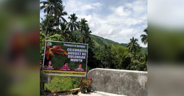 A picturesque view of mountains and coconut trees at the background during the celebration of Dulungan Month at Brgy. Flores, Culasi, Antique.