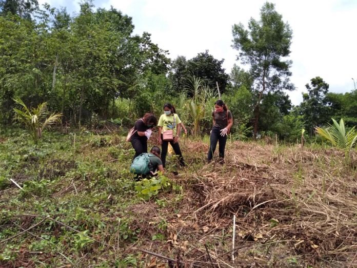 Members of a youth organization plant fruit seedlings in Barangay Agdahon, Cuartero, Capiz on Aug. 15. Panalingsing: A Tree Planting Project was held to support the province’s 1M Kahoy Project. CAPENRO