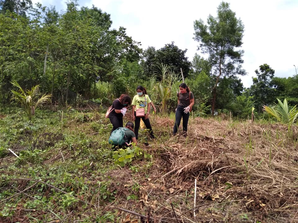 Youth organizations hold tree planting activity in Cuartero