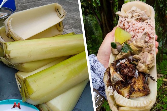 Banana leaf sheaths recycled as plates. PHOTO COURTESY OF PENRO Aklan