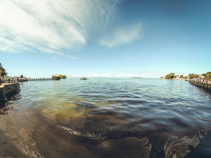 In this photo provided by Grégoire Rouxel fuel is in the ocean leaking from a ship, rear right, that ran aground, Friday, Aug. 7, 2020, in Mauritius. AP