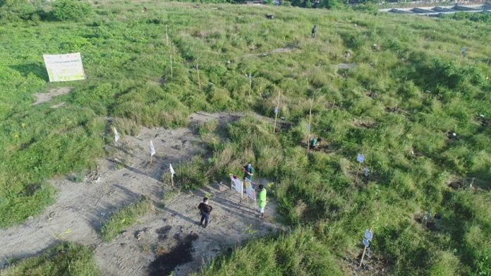 Drone shot of the bamboo planting area in Brgy. Calajunan, Mandurriao, Iloilo City where approximately 170 bamboo seedlings were planted by volunteers. DENR 6 regional executive director Francisco Milla Jr. (left), CSC RO6 Regional Director Nelson Sarmiento (center) and DENR Asst. Regional Director for Technical Services Livino Duran led the volunteers during the bamboo planting. PHOTOS BY DENR 6 / PENRO ILOILO