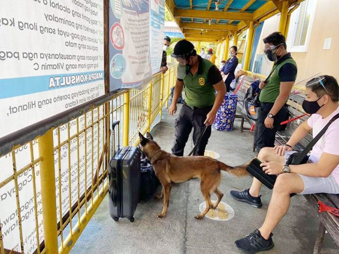 The Philippine Drug Enforcement Agency Region 6 deploys K-9 units at the port of Dumangas, Iloilo to seal off possible smuggling points. PDEA REGION 6