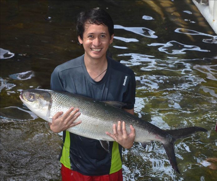 Stephen Alayon, 2020 Outstanding Professional Librarian of the Year of the Professional Regulation Commission, takes a break from librarian duties at the Southeast Asian Fisheries Development Center Aquaculture Department in Tigbauan, Iloilo to pose with a milkfish breeder. Photo by IT Tendencia