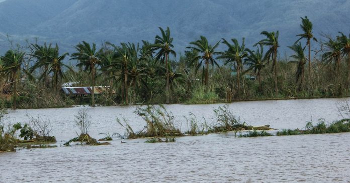 Farms in Oas, Albay have been submerged under water during the onslaught of Typhoon “Rolly” on Sunday, Nov. 1, 2020. PHOTO COURTESY OF ELJANE NIAN C. PIANO