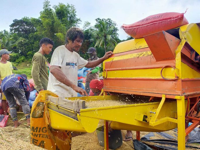 Farmers thresh rice at a ricefield in San Joaquin, Iloilo. PHOTO COURTESY OF KENNARD MONDRAGON VIA DA WESTERN VISAYAS