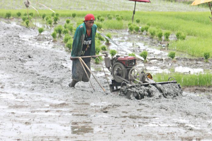 Only 20 percent of rice farmers owning eight hectares or less have availed themselves of the Free Irrigation Service Act in Aklan. PHOTO FROM AKEANFORUMBLOGSPOT.COM