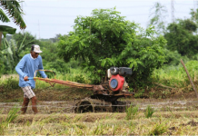 Using a hand tractor, a farmer prepares his land in Imus, Cavite. An agricultural group has urged the government to vaccinate around 11 million farmers against COVID-19 using funds from its collection of deboned meat tariff. PHOTO COURTESY OF PNA