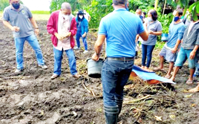 Officials of the Department of Agriculture and La Carlota City government in Negros Occidental with farmers of Hacienda Esperanza Communal Agrarian Reform Beneficiaries Association witness the launching of sugarcane-rice cropping system project in Barangay Nagasi, La Carlota City on Feb. 3. PNA