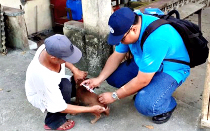 RABIES PREVENTION . Dr. Marco Rafael Ardamil of Antique’s Provincial Veterinary Office (PVO) vaccinates a dog. Having their dogs vaccinated is part of the owners’ responsibility, he stresses. PHOTO COURTESY OF PROVET ANTIQUE