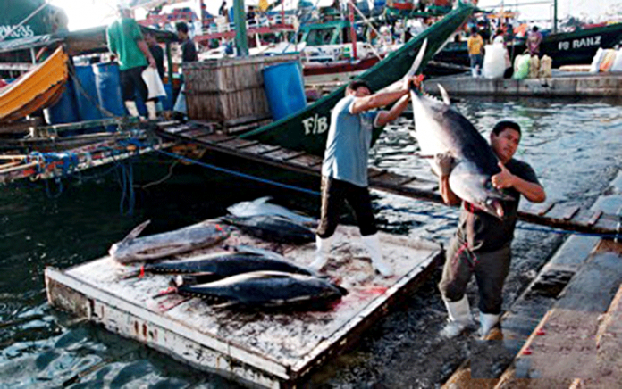 Workers unload their tuna catch at the fish port complex. In 2020, tuna is one of the country’s top export products to the United Kingdom. PNA FILE PHOTO BY EDWIN ESPEJO