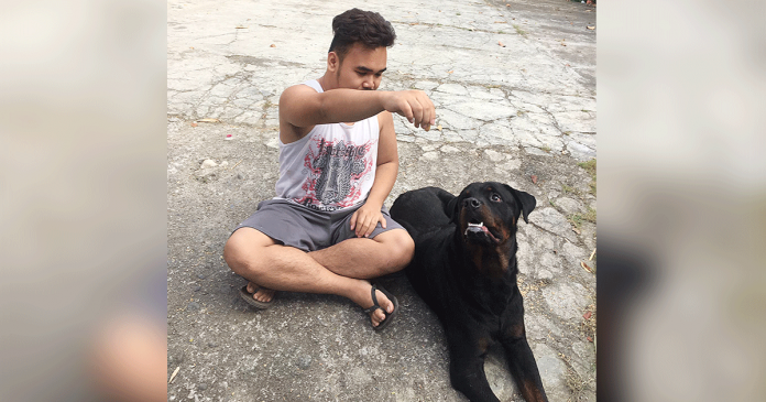 A pet owner in Iloilo City plays with his Rottweiler. The Agriculture department encourages all pet owners to vaccinate their dogs against rabies. PHOTO COURTESY OF WINMER GREG ELIJAH CATEDRAL