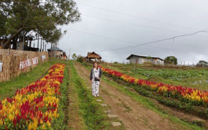 A visitor strikes a pose in an area planted with cut flowers and high-value crops in Barangay Aningalan, San Remigio, Antique in this undated photo. Seven greenhouses will be constructed in the area to boost the cultivation of high-value crops and cut flowers for the local market. PNA PHOTO COURTESY OF J. GRAFANE