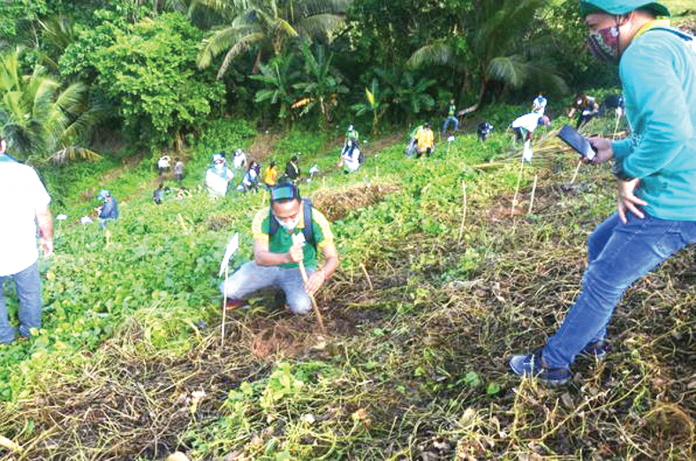 An advocate joins Tanum Iloilo, a provincewide tree growing project, in Barangay Dapdapan, Lemery, Iloilo. The Department of Environment and Natural Resources in Region 6 is encouraging the public to plant native or endemic tree species and fruit bearing trees. BALITA HALIN SA KAPITOLYO